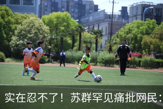 实在忍不了！苏群罕见痛批网民：缺少同理心，全力支持杜锋，更换主帅时点特殊