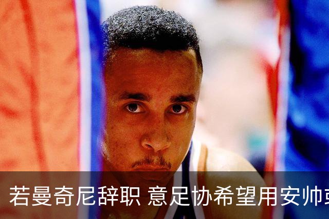 若曼奇尼辞职 意足协希望用安帅或卡纳瓦罗替代